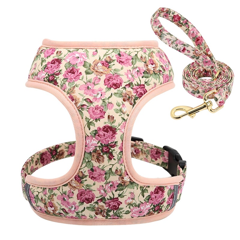 Floresta Beige Harness & Leash Set