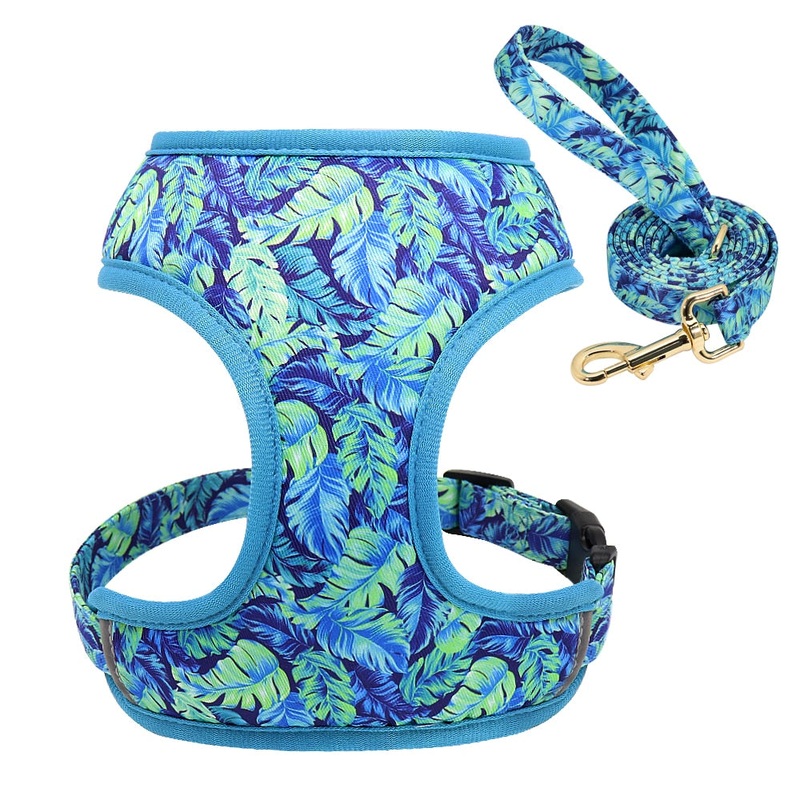 Floresta Blue Harness & Leash Set