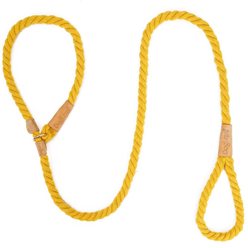 Yellow Rope Slip Leash & Collar