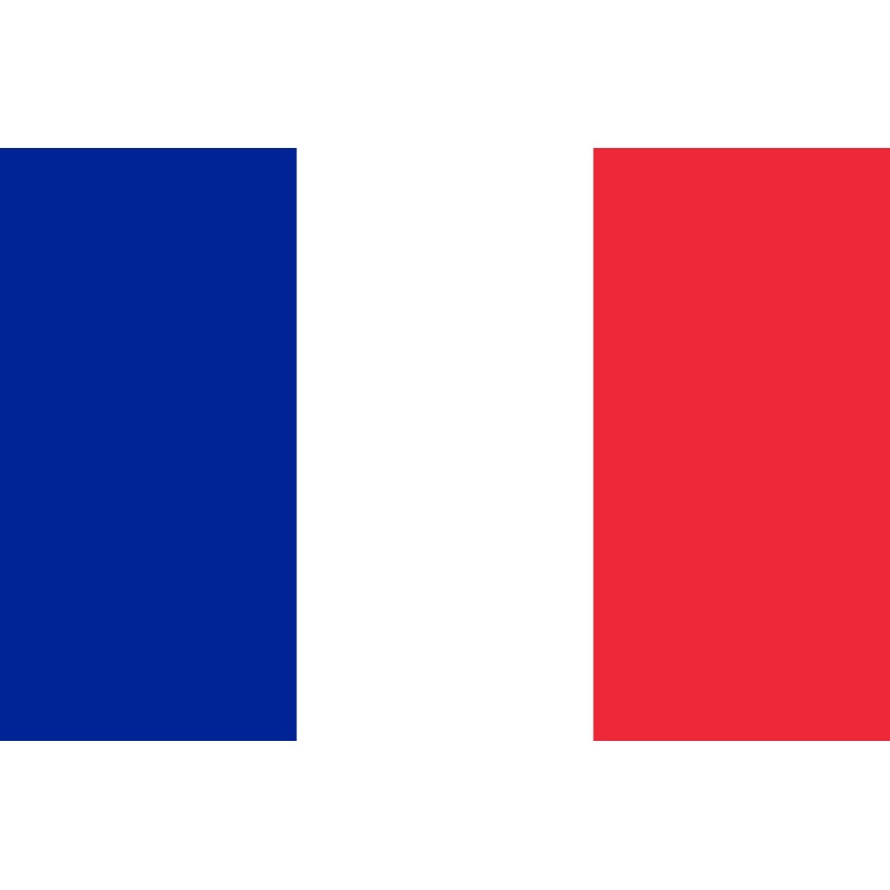 Acrylic Flag of France Token (x10)