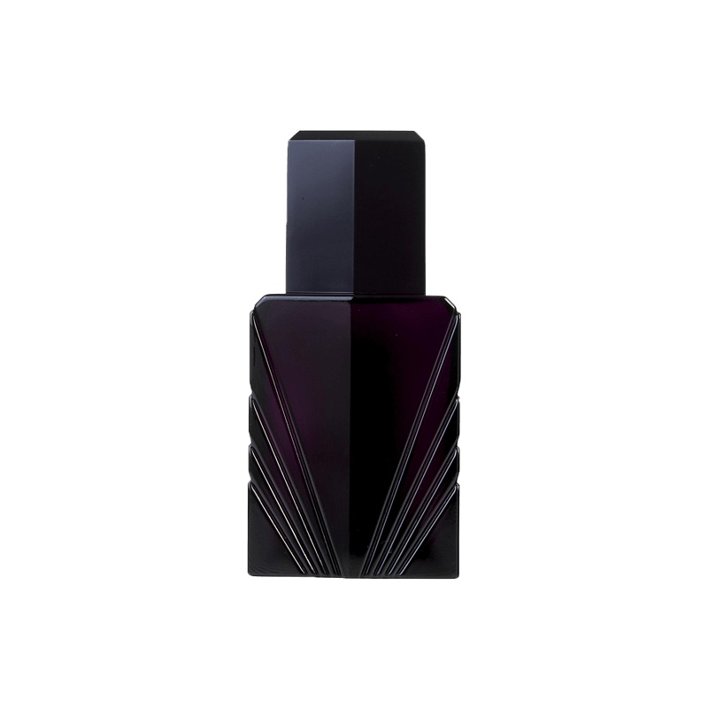 Passion For Men 118ml col M